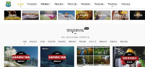 爆料视频素材库在哪里,爆料视频素材库的秘密聚集地