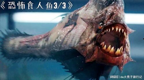 3d食人鱼在线观看,3D食人鱼惊悚全解析